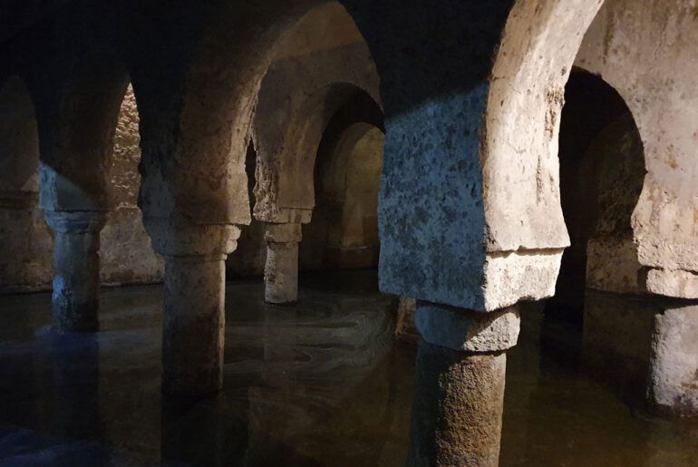 patrimonio